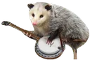 opossumbanjo