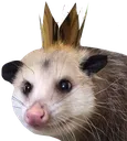 opossumroyalty