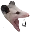 opossumscream