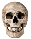 skully skully