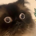 slight_panic custom emote from RoyaleMC Community