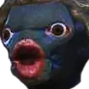 fogchamp2