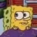 spongejudge