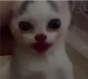amimegustalapepsi