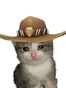 cowboycatremovebgpreview Discord Emoji