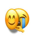 hidingsadness Discord Emoji