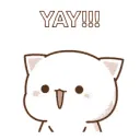yaycat