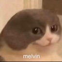 echat_Melvin Discord emoji