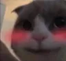 UwUblush