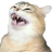 risamichi_FDB Discord emoji