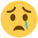 7088worrytearcry Discord Emoji