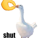 DuckShut