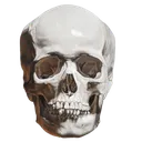 skull2