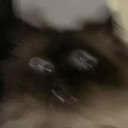 panic Discord sticker | RoyaleMC Community