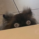 stalk custom emote from RoyaleMC Community