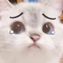 141_SadCat