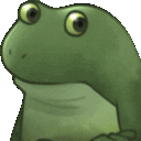 frogstare1