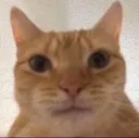 emoji_25
