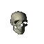 skullspin