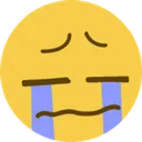 cryingrn cryingrn