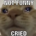 notfunnyIcried Discord Emoji