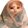 kitty_0_blanket_sleepy