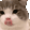 Catlick catlick Discord Emoji