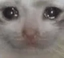 PF_sadness_cat2 PF_sadness_cat2
