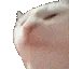 CAT_VIBE_REVERSE