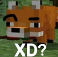 xd_dude