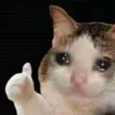 inmemoryofkatsyoungestcrown