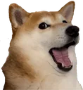 pogshiba