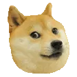 thug_dog