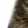 bigcatg