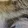 bigcatc_