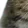 bigcat9_ bigcat9_