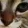 bigcat8_