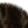 bigcat3