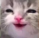 ZZaaaaaaa