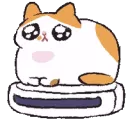 sissyvacuum