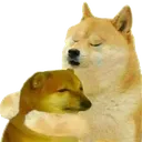 doggohug