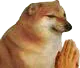 doggopray doggopray