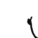 lacehand