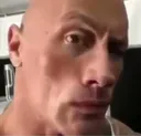 Sus