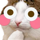flushedcat flushedcat