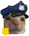 ChrisSecurity