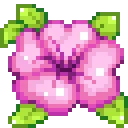 blossom_pink