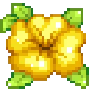 blossom_yellow