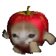 misc_Applecatrun Discord Emoji
