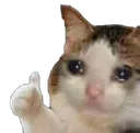 sadOK